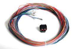 Holley - Holley Dominator EFI Connector J2B Auxiliary Harness 558-402
