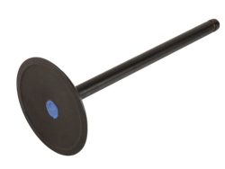 GM (General Motors) - 12629513 VALVE-INT