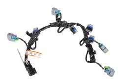 GM (General Motors) - 12664870 HARNESS ASM-F/INJR WRG