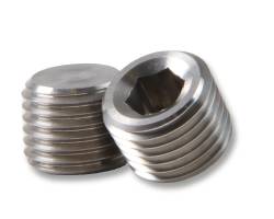 Earl's Performance - Earl's Performance Earl's 1/8" NPT Internal Plugs - Stainless Steel SS593202ERL