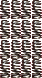 Chevrolet Performance Parts - PAC-19420455-M - Chevrolet Performance Performance LS Engine Valve Spring Kit (set of 16) Matched Set