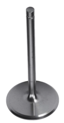 GM (General Motors) - 12605524 VALVE-INT