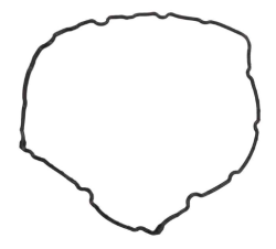 GM (General Motors) - 12595106 SEAL,CM/SHF CVR