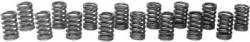 Chevrolet Performance Parts - 12495494 - Small Block Chevy LT4 Valve Spring Kit - Used On 1996 LT4 Engines, ZZ4 & Fast Burn 385 Crate Engines (16 Springs) 1.32" Diameter