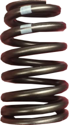 GM (General Motors) - 12713265 SPRING-VLV