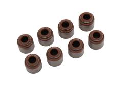 GM (General Motors) - 12457652 SEAL KIT,EXH VLV STEM OIL