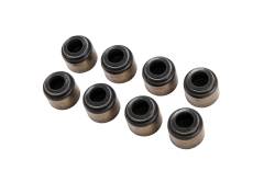 GM (General Motors) - 12533586 SEAL KIT,VLV STEM OIL