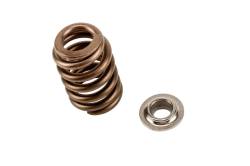 GM (General Motors) - 19257200 - Spring Ki