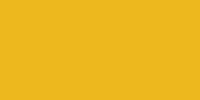 Allstar Performance - ALL22466 - Plastic Sheet 4' x 8' .100" Yellow