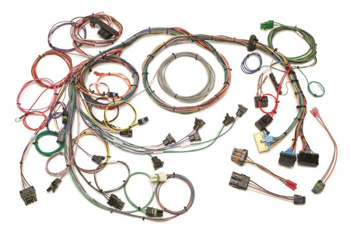 Painless Wiring - Painless Wiring Fuel Injection Wiring Harness 60203