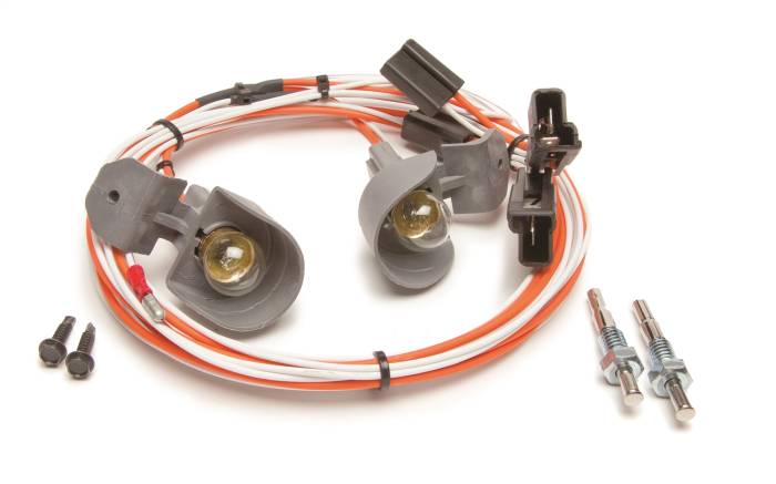 Painless Wiring - Painless Wiring Courtesy Light Kit 30708