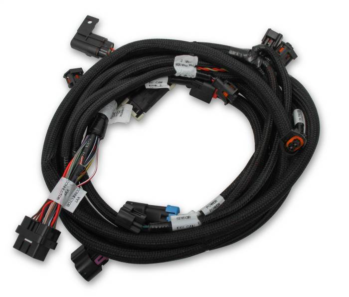 Efi-Ford-Coyote-Ti-Vct-Sub-Harness-(2013-2017)