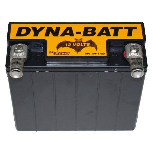 Dyna-Batt-12-Volt-Dry-Cell-Battery-With-1O-Gauge-Battery-Terminals