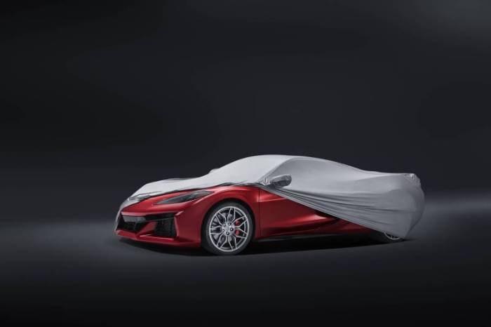 GM (General Motors) - 84873347 COVER PKG-VEH PROTV                     *INSTALL 0.10