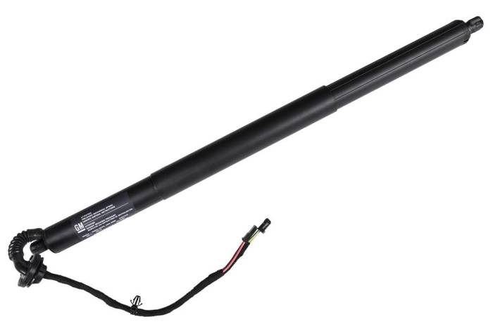 GM (General Motors) - 39146666 Actuator Assembly Liftgate Power Assist