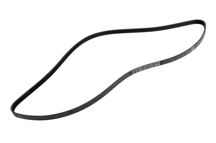 GM (General Motors) - 12664598 Serpentine V-Belt