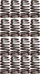 PAC-19420455-M - Chevrolet Performance Performance LS Engine Valve Spring Kit (set of 16) Matched Set