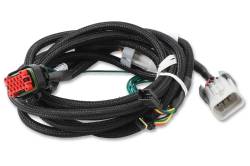 MSD - MSD Ignition Ignition Replacement Harness 80002 - Image 2