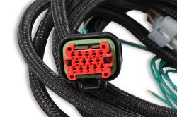MSD - MSD Ignition Ignition Replacement Harness 80002 - Image 3