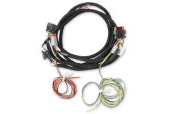 MSD - MSD Ignition Ignition Replacement Harness 80003 - Image 1