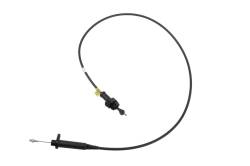 10163879 - Cable Asm