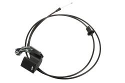 10186229 - Cable Asm
