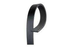 19244949 - Belt