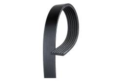 19244950 - Belt