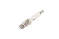 19298364 - Spark Plug