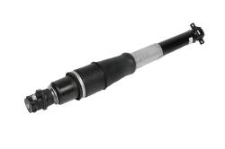 19300035 - Absorber Kit