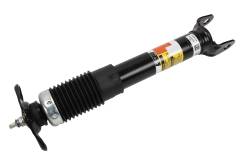 19431692 - Absorber Kit