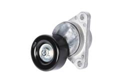 25184786 - Tensioner