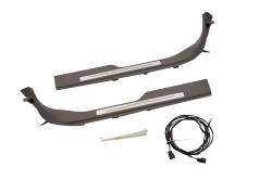84201726 PLATE PKG-FRT S/D SILL TR               *DARK ATMOSPHR