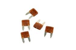 88864840 5 PACK KIT OF 5 AMPS MINIFUSE           *TAN