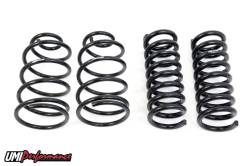 UMI PERFORMANCE 1964-1966 GM A-Body Spring Kit, Factory Height 4048