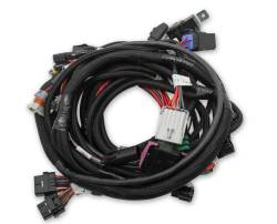 Efi-Ford-Coyote-Ti-Vct-Main-Harness-For--Efi-Hp-Smart-Coils-(2011-2017)