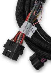 Efi-Ford-Coyote-Ti-Vct-Sub-Harness-(2013-2017)