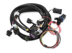 Terminator--Stealth-Series-Main-Harness