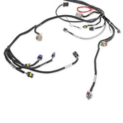 Ls16-(24X1X)-Engine-Main-Harness,-Extended-Length