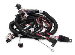 Main-Harness,-Terminator-Tbi,-Lsx,-24X