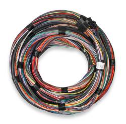 Unterminated-15-Flying-Lead-Main-Harness