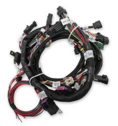 Efi-Ford-Coyote-Engine-Main-Harness-W-Ti-Vct-And-Stock-Coils-(2011-2017)