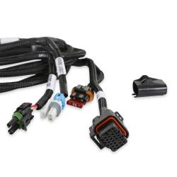 Efi-Transmission-Harness---T-56