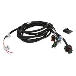 Efi-Transmission-Harness---T-56