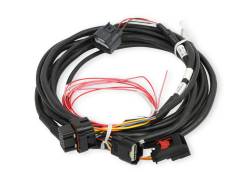 Efi-Ford-Gt500-And-3V-Drive-By-Wire-Throttle-Body-Harness