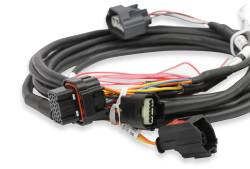 Efi-Ford-Gt500-And-3V-Drive-By-Wire-Throttle-Body-Harness