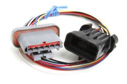 Ford-Tfi-Ignition-Harness