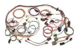 Painless Wiring Fuel Injection Wiring Harness 60101