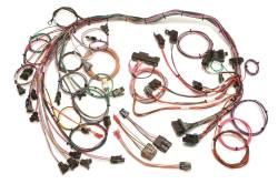 Painless Wiring Fuel Injection Wiring Harness 60102