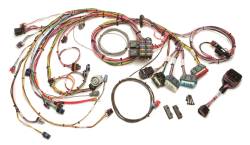 Painless Wiring Fuel Injection Wiring Harness 60214